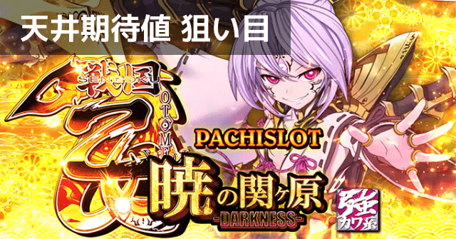 戦国乙女 暁の関ヶ原-DARKNESS-